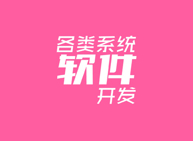 進(jìn)入了解各類(lèi)系統(tǒng)、軟件開(kāi)發(fā)